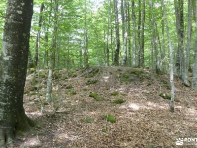 Aralar y Valle de Arakil -actividades turismo escapada fin de semana senderismo con imaginación aten